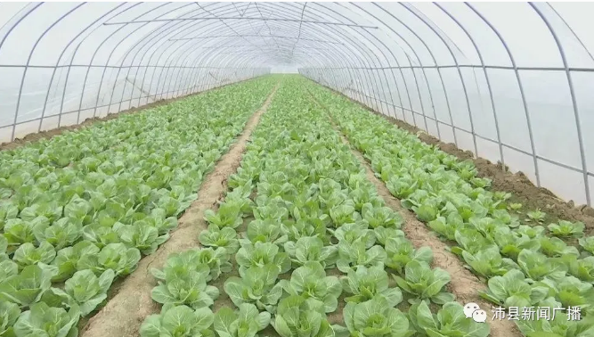 沛县管控疫情地区吗(沛县疫情防控最新政策)-第2张图片