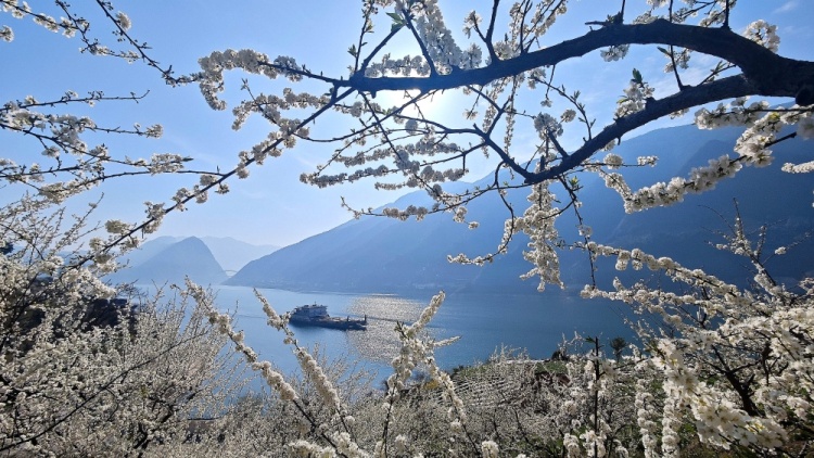 重庆风景区旅游景点排名榜,重庆风景区游玩攻略-第2张图片