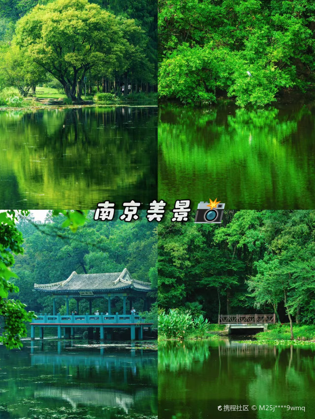 【南京一日游最佳攻略/南京旅游攻略三日游详细】-第1张图片