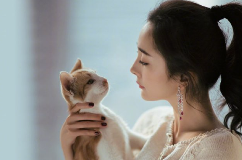 杨幂是否养过小鬼︰(杨幂真的养过小鬼吗)-第1张图片