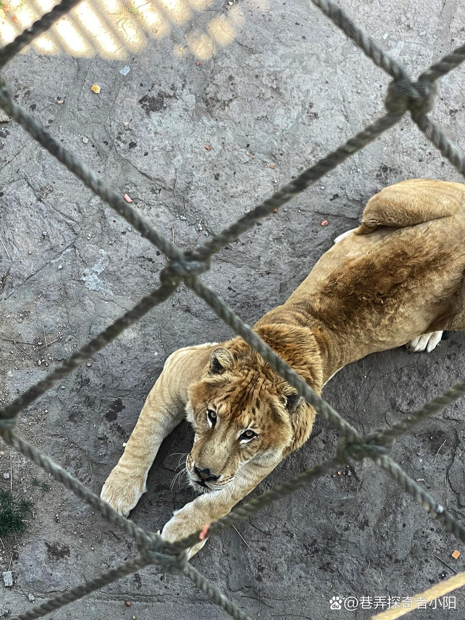 “威海有什么好玩的地方	” 威海有什么景点值得玩？-第2张图片