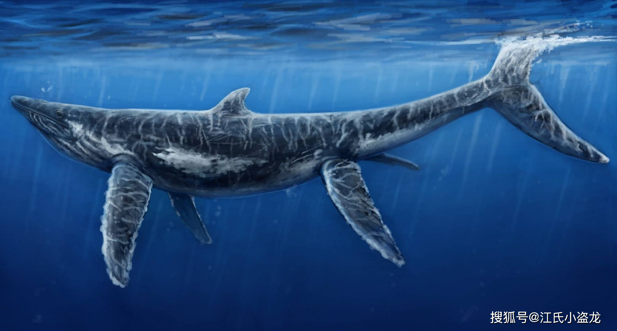 【221米超级大沧龙/221米超级大沧龙的视频】-第1张图片