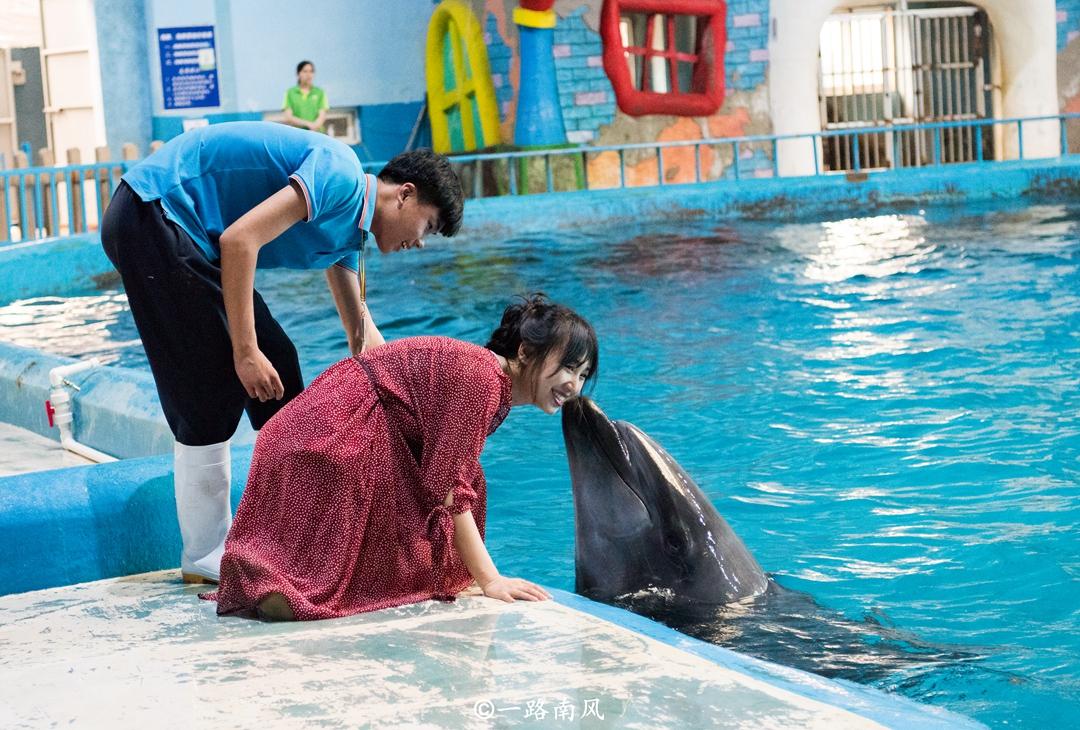 极地海洋世界门票多少钱一张.蓬莱极地海洋世界门票多少钱一张-第2张图片