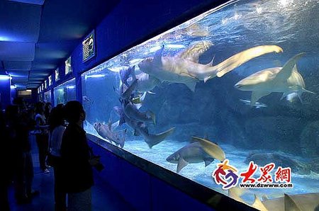 极地海洋世界门票多少钱一张.蓬莱极地海洋世界门票多少钱一张-第1张图片