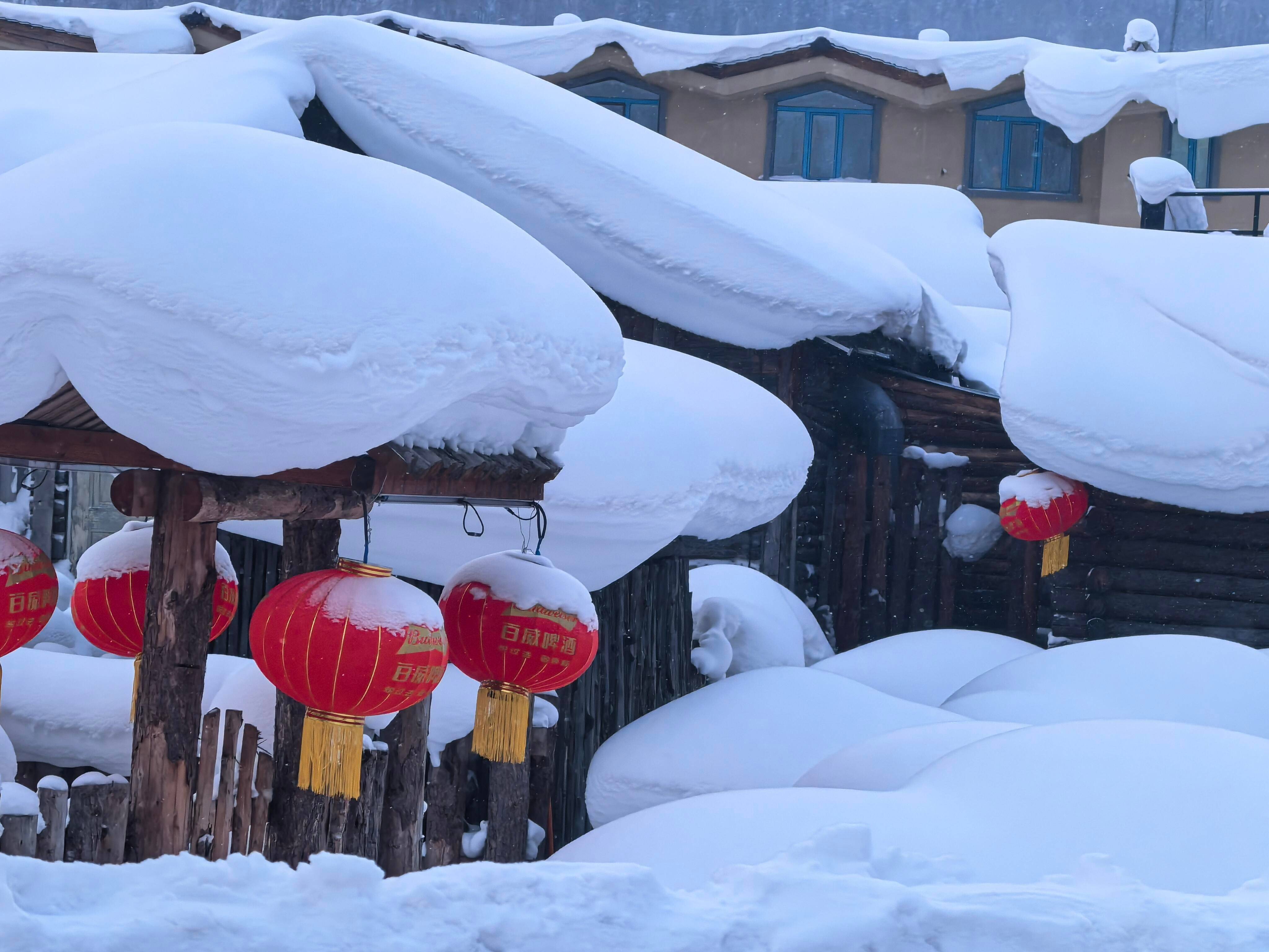 哈尔滨夏季旅游攻略︰(哈尔滨夏季旅游攻略二日游)-第2张图片