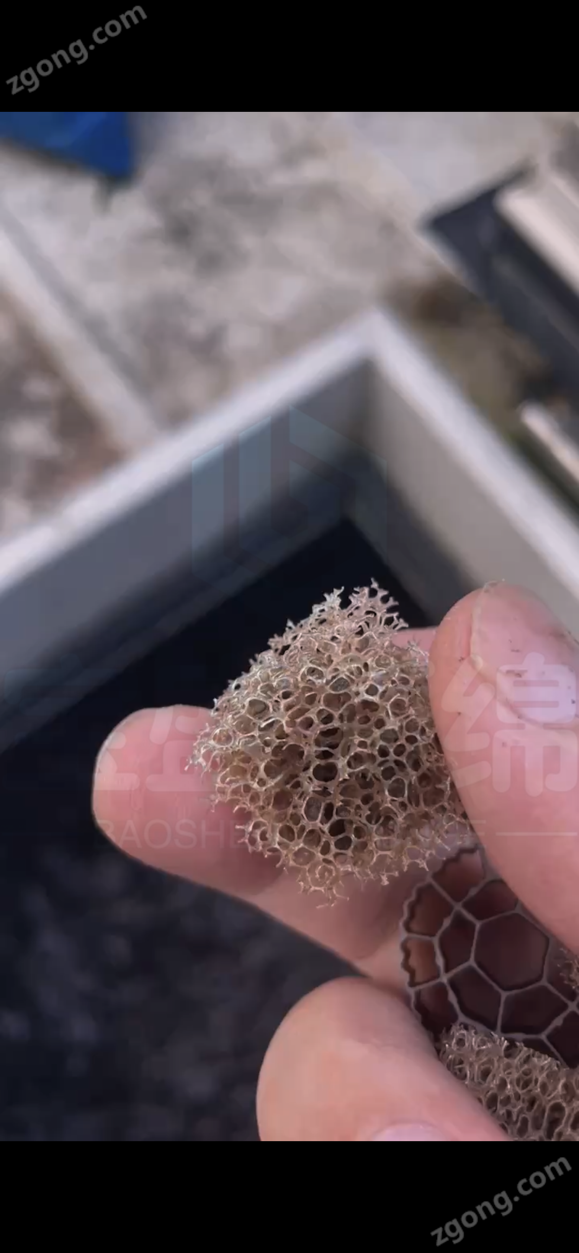 聚酯海绵前十品牌-聚酯海绵前十品牌排名榜-第1张图片