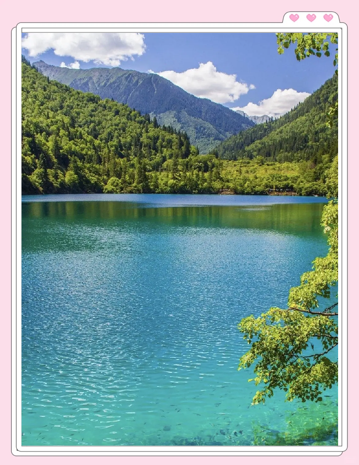 自驾游四川旅游最佳路线.自驾游四川攻略地图-第1张图片