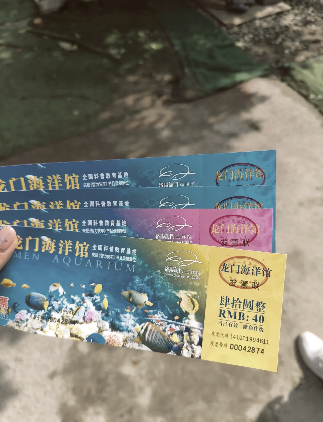 极地海洋世界.极地海洋世界青岛门票-第2张图片