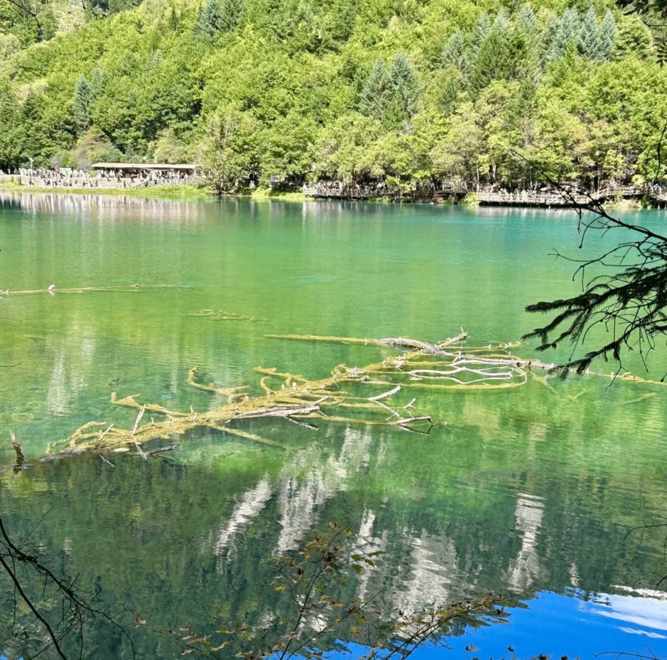 “四川省内旅游景点推荐” 四川省内景区旅游？-第2张图片