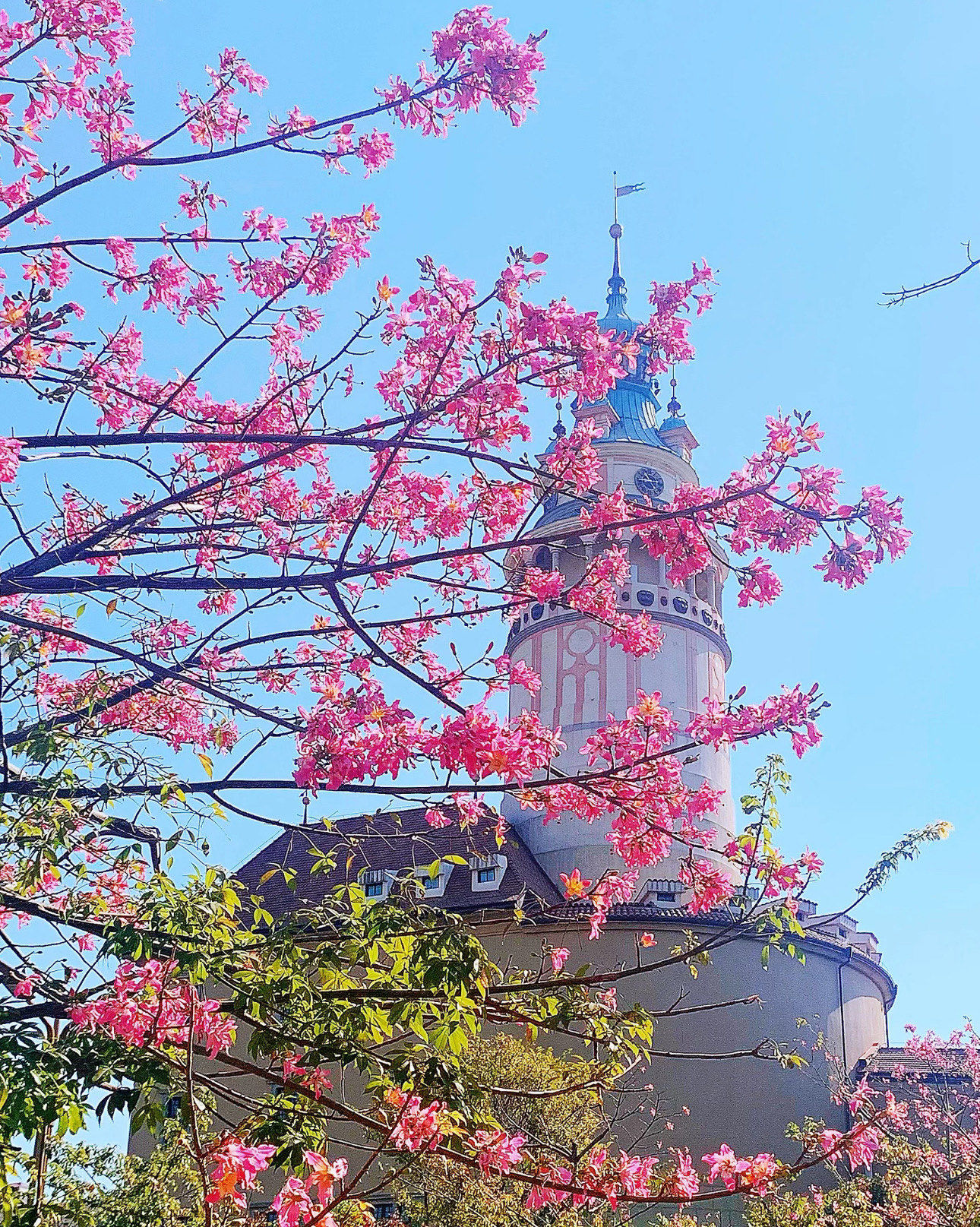 【东莞旅游必去前十景点/东莞旅游必去前十景点图片】-第2张图片