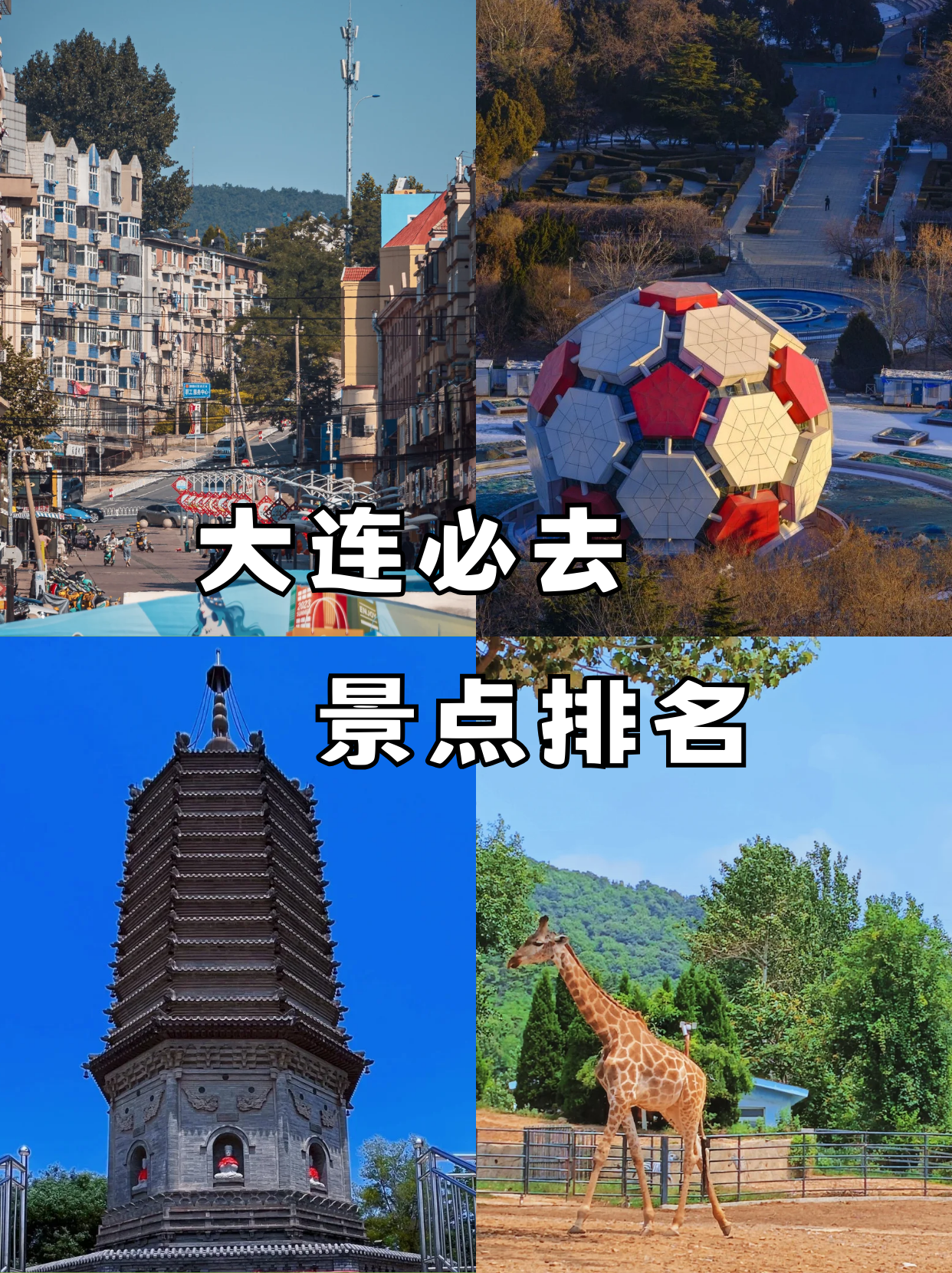 【大连旅游景点攻略/大连旅游景点比较好玩的地方】-第2张图片