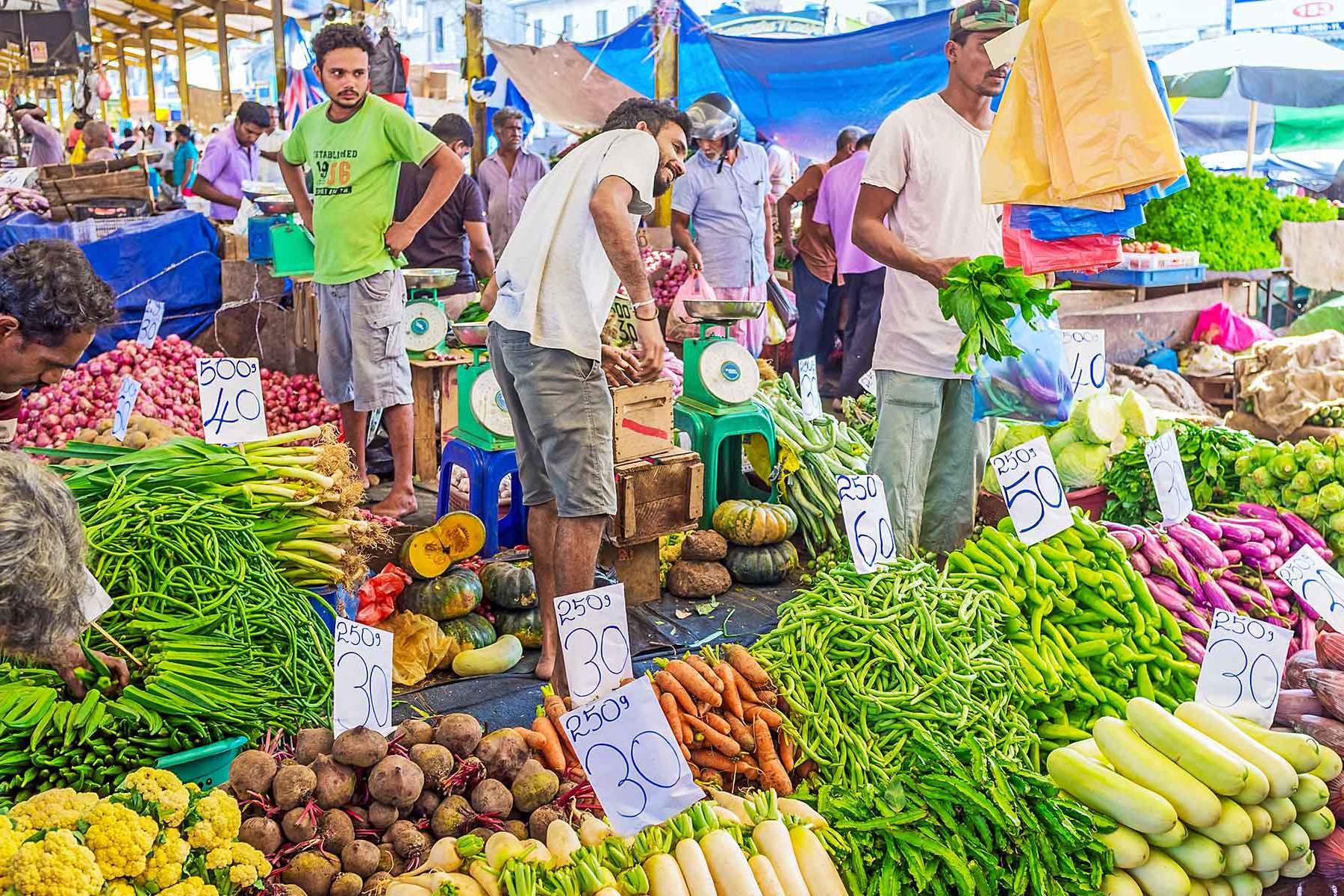 斯里兰卡首都斯里兰卡首都大学Qs排名-第1张图片