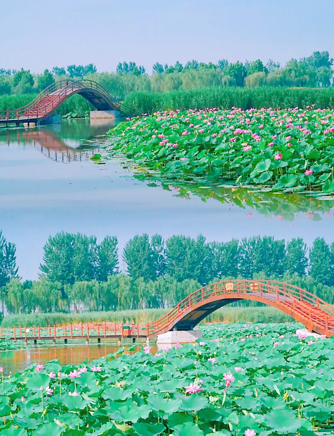 保定旅游景点大全自驾-河北保定旅游景点大全景点排名-第1张图片