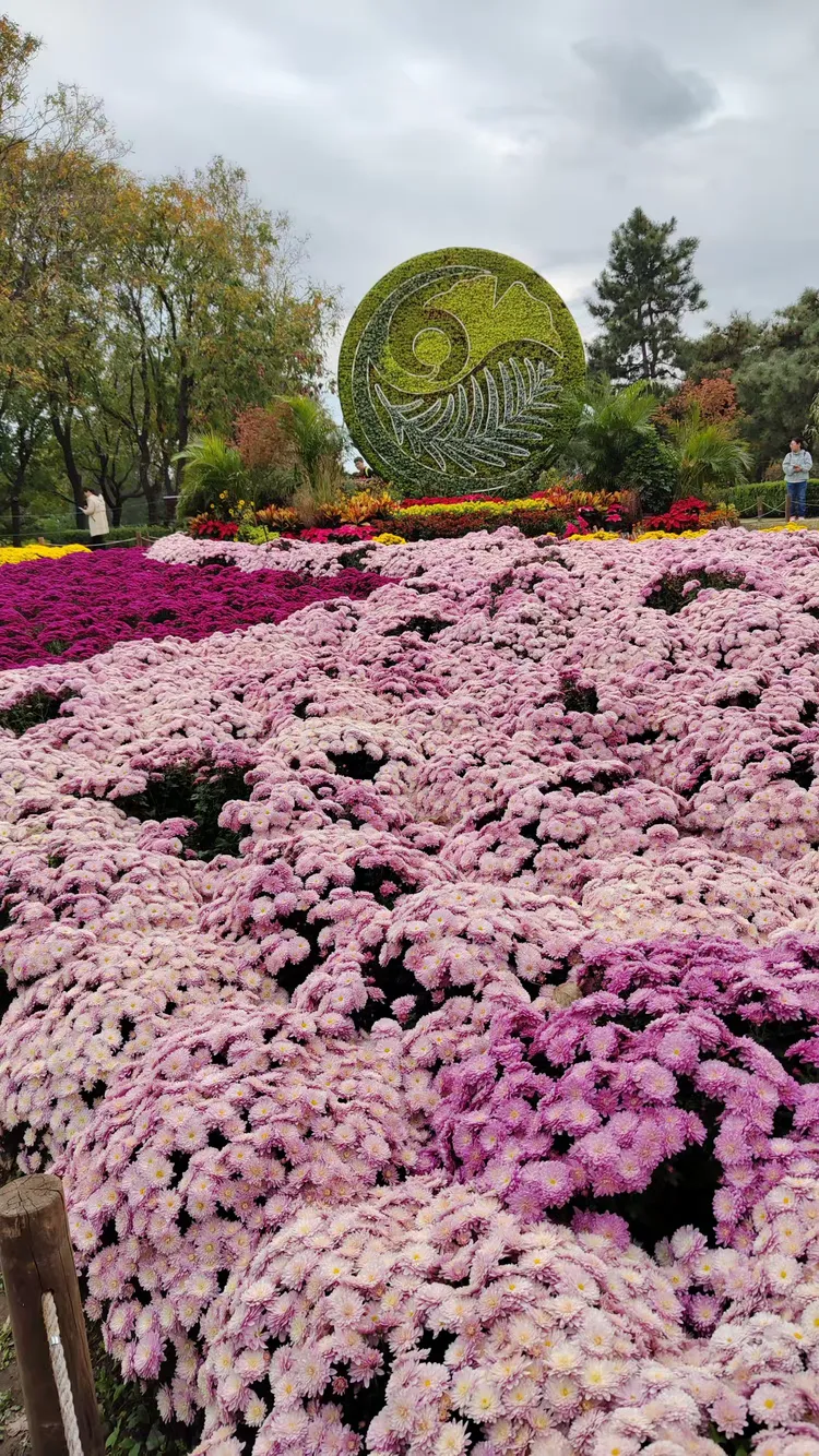 北京植物园门票多少钱北京十八个免费景点-第1张图片
