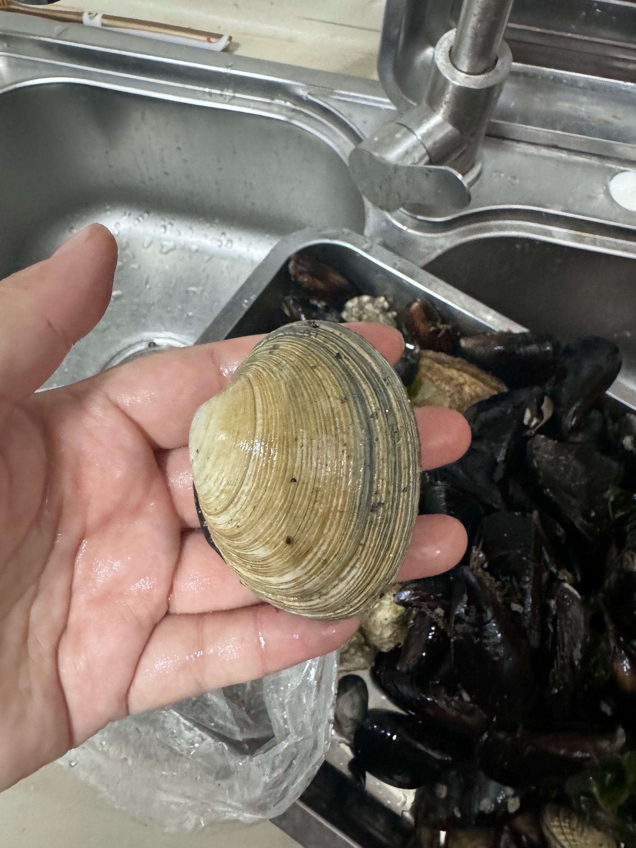 “海地人民吃土	” 海地人民吃土是真的吗？-第2张图片