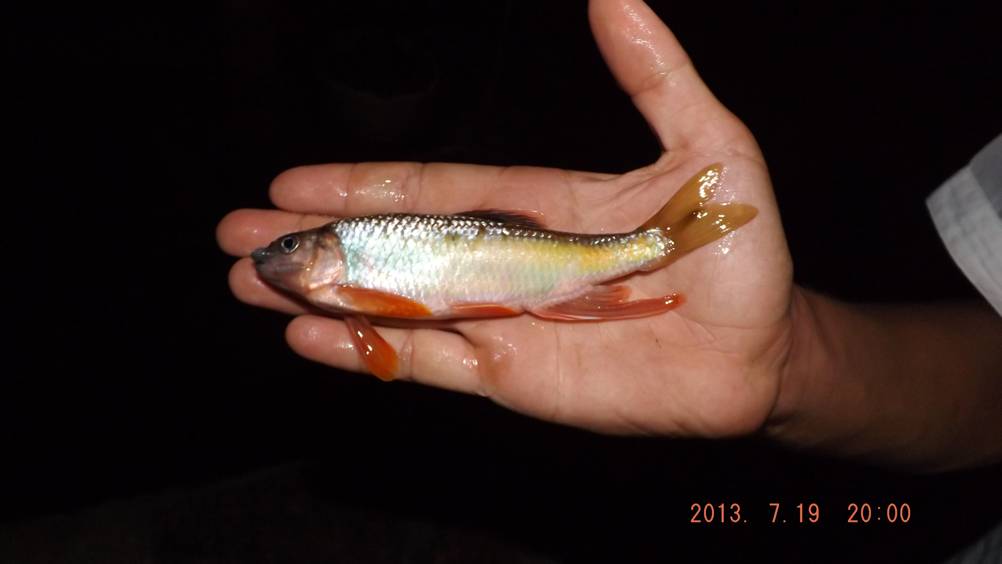 【太湖湖底有大蛇/太湖上有岛吗】-第1张图片