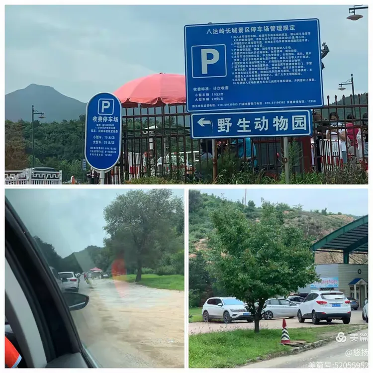 八达岭野生动物园.八达岭野生动物园营业时间-第1张图片