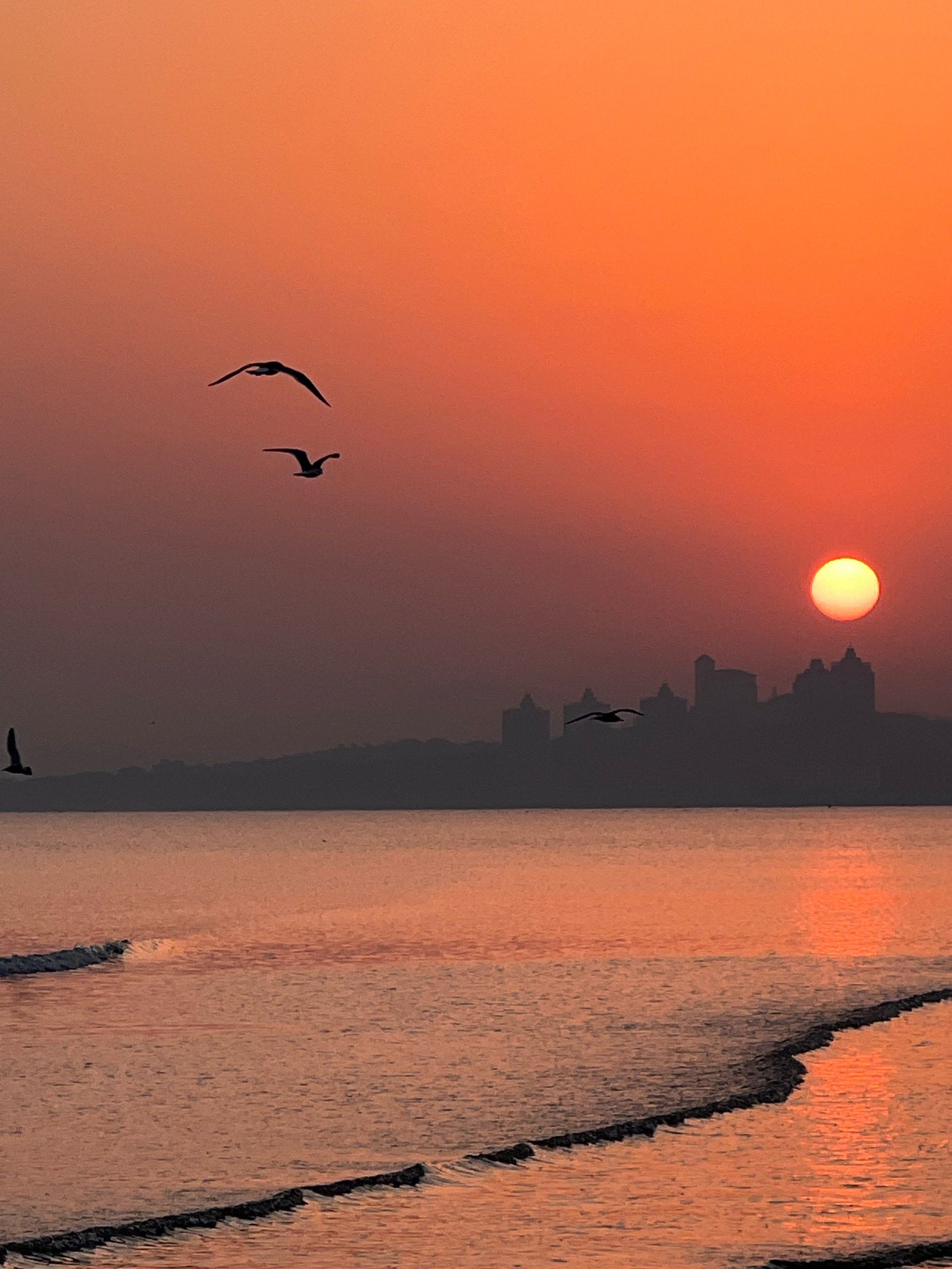 “烟台好玩的地方排名榜	” 烟台好玩的地方排名榜有哪些？-第1张图片