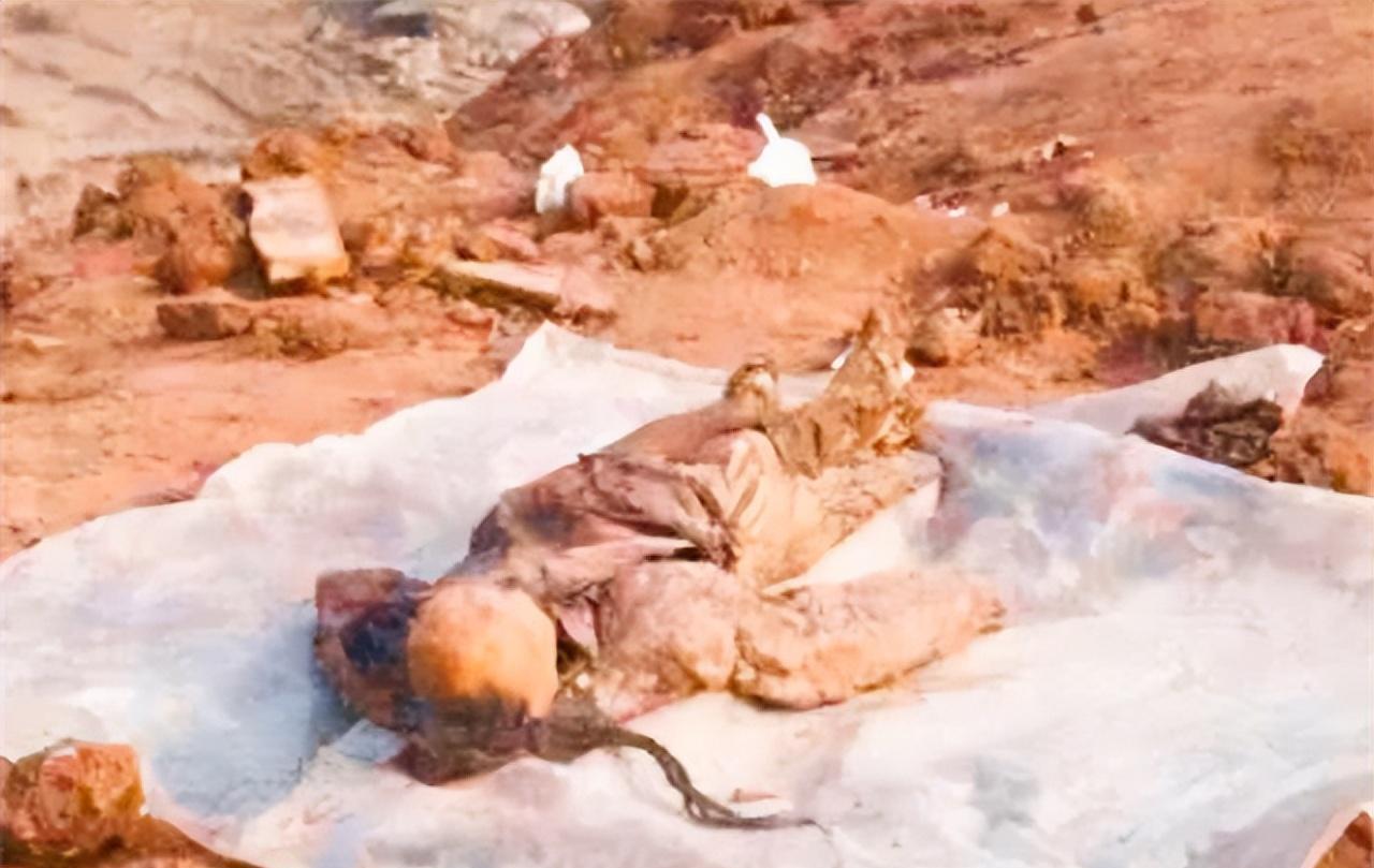 黄河清淤挖出棺材黄河捞出来的那口棺材-第2张图片