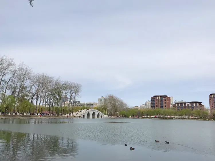 玉渊潭公园门票预约,玉渊潭公园门票多少钱一张-第1张图片