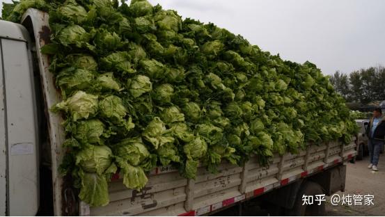 疫情北方地区囤菜︰(疫情买什么菜储备)-第1张图片