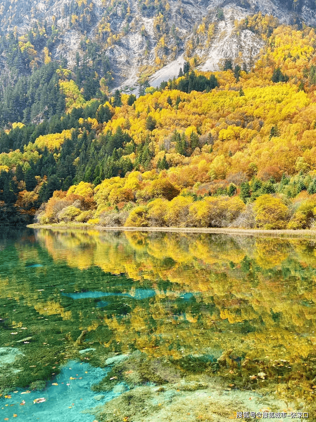 九寨沟海拔比较高多少米︰(九寨沟海拔比较高多少米有高原反应吗)-第2张图片