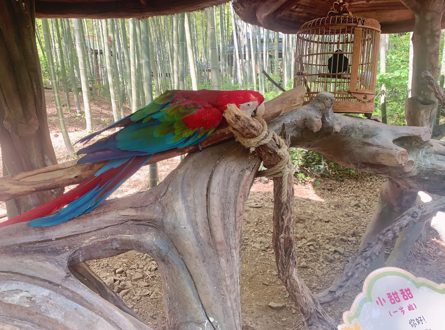 “南山文化旅游区” 南山文化旅游区占地多少平方公里？-第2张图片