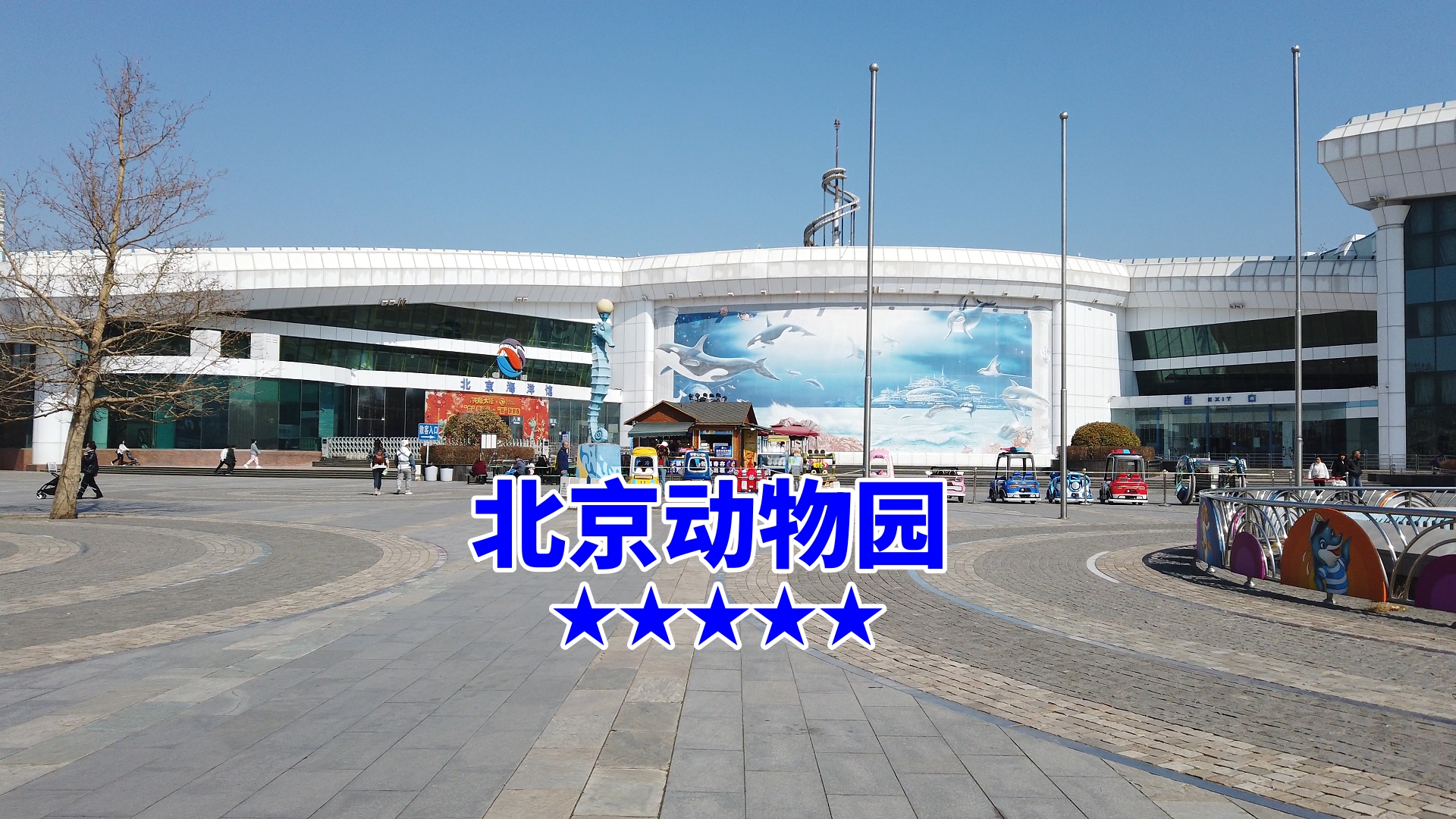 北京动物园门票︰(北京动物园门票可以现场购买吗)-第1张图片