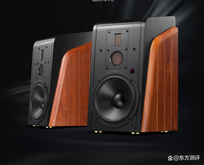 专业音箱前十品牌︰(专业音箱前十品牌有哪些)-第2张图片