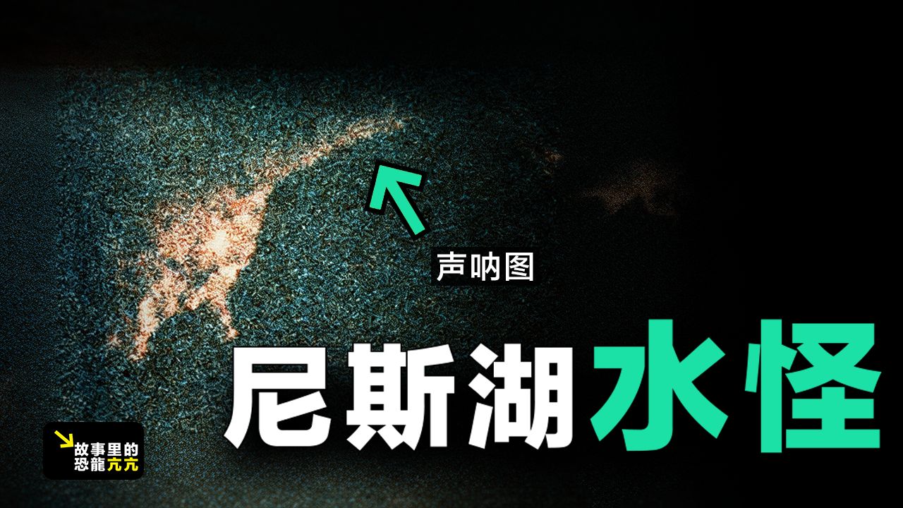 再次发现尼斯湖水怪,增值税缴纳逾期-第2张图片