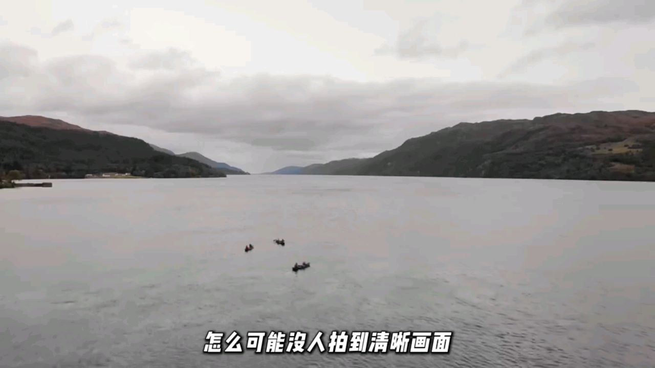 再次发现尼斯湖水怪,增值税缴纳逾期-第1张图片