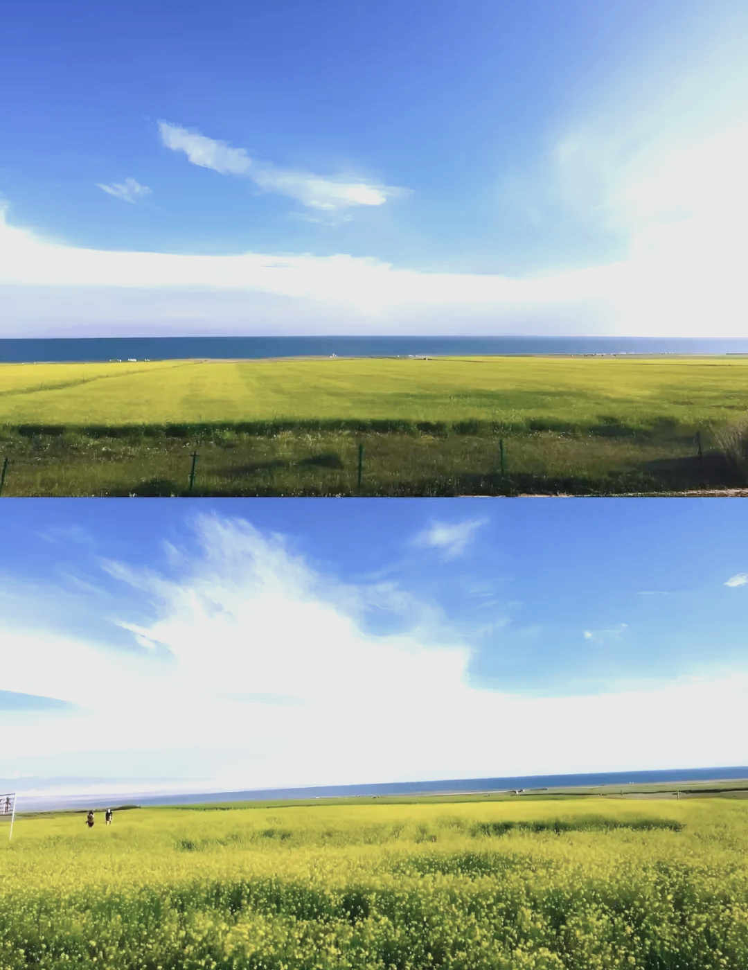 青海旅游地图,青海旅游地图全图可放大图片-第1张图片