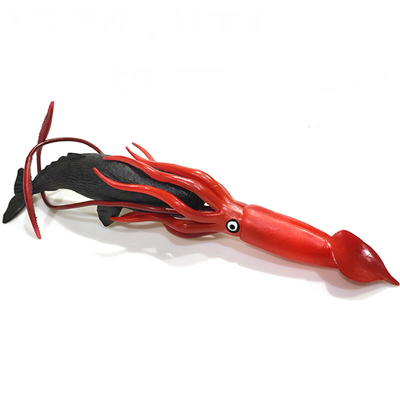 大王乌贼和抹香鲸谁大,大王乌贼和抹香鲸搏斗视频-第1张图片