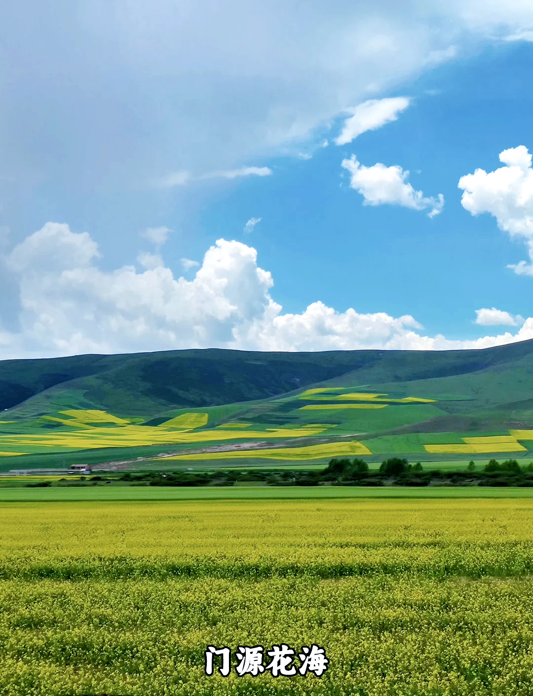 三亚旅游报团费用,去三亚旅游报旅游团要多少钱?-第2张图片