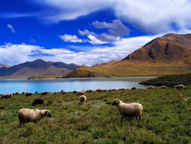 【7月避暑最佳旅游地/七月旅游避暑】-第1张图片